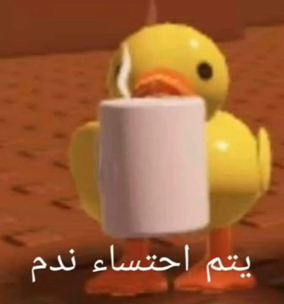 إختبار فقط